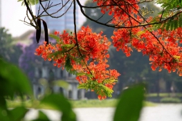 Vietnam - Hai Phong